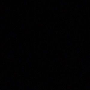 Meet your Posher, Brisa